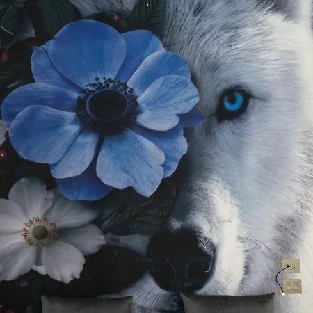 History Aparthotel 4*