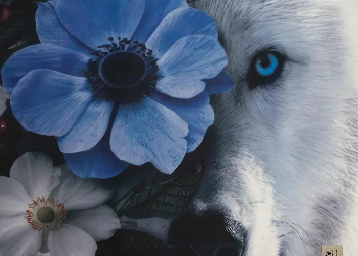 History מלון דירות 4*