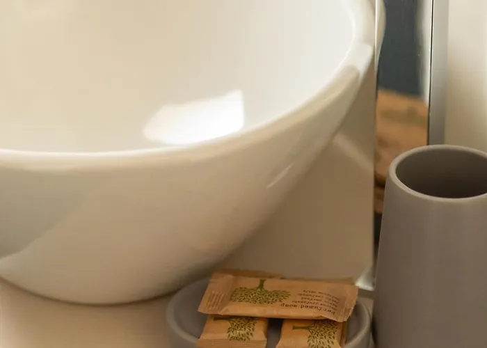 מלון דירות History