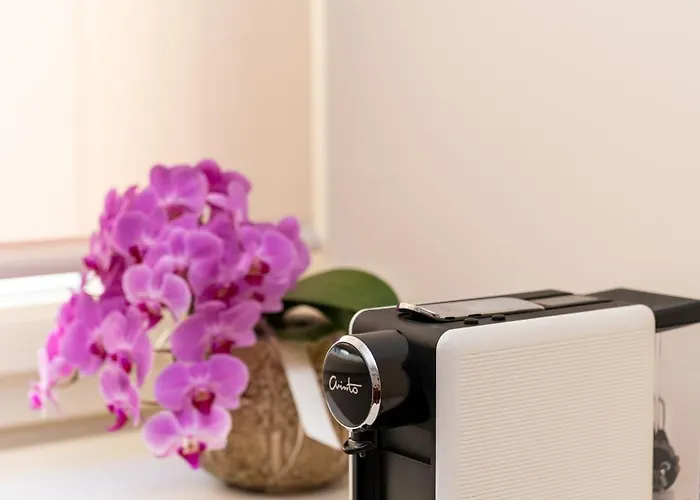 History 아파트호텔